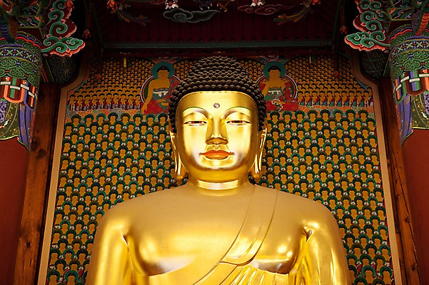 포토 JPG 종교 불교 실내 사람없음 부처님오신날 사찰 불상 부처 금불상 조계사 국내포토 기념일 종교건축 내부 종로 파일형식