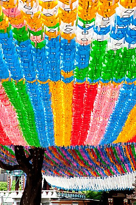 포토 JPG 나무 건축물 종교 불교 이벤트 사람없음 야외 축제 부처님오신날 사찰 연등 조계사 국내포토 식물 기념일 건축 종교건축 등불 불교용품 종로 파일형식