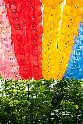 포토 JPG 나무 종교 불교 이벤트 사람없음 야외 축제 부처님오신날 연등 국내포토 식물 기념일 등불 불교용품 파일형식