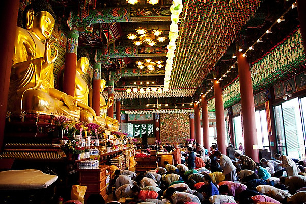 포토 JPG 종교 불교 실내 사람 여러명 부처님오신날 기도 사찰 불상 부처 금불상 불공 불자 예불 조계사 국내포토 기념일 다수 종교건축 내부 종로 파일형식