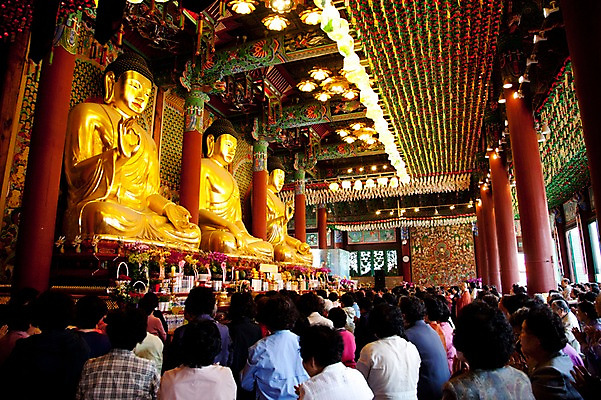 포토 JPG 종교 불교 실내 사람 여러명 부처님오신날 기도 사찰 불상 부처 금불상 불공 불자 예불 조계사 국내포토 기념일 다수 종교건축 내부 종로 파일형식