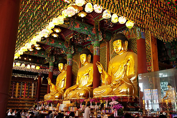 포토 JPG 종교 불교 실내 부처님오신날 사찰 불상 부처 금불상 예불 조계사 국내포토 기념일 종교건축 내부 종로 파일형식