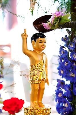 포토 JPG 꽃 종교 불교 사람없음 야외 부처님오신날 불상 관불의식 금불상 예불 국내포토 식물 기념일 파일형식