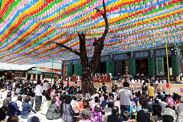 포토 JPG 나무 종교 불교 사람 풍경 야외 부처님오신날 기도 사찰 의식 연등 불공 불자 예불 조계사 국내포토 식물 기념일 종교건축 등불 불교용품 종로 파일형식