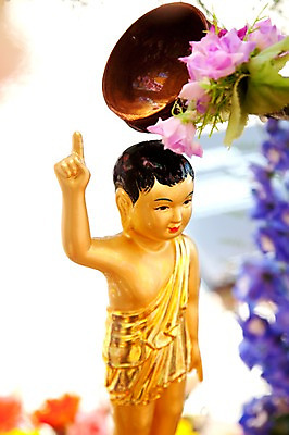 포토 JPG 종교 불교 이벤트 사람없음 야외 부처님오신날 의식 불상 관불의식 국내포토 기념일 파일형식