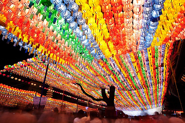 포토 JPG 나무 종교 불교 불 야외 부처님오신날 군중 연등 불자 국내포토 자연요소 식물 기념일 사람 등불 불교용품 파일형식