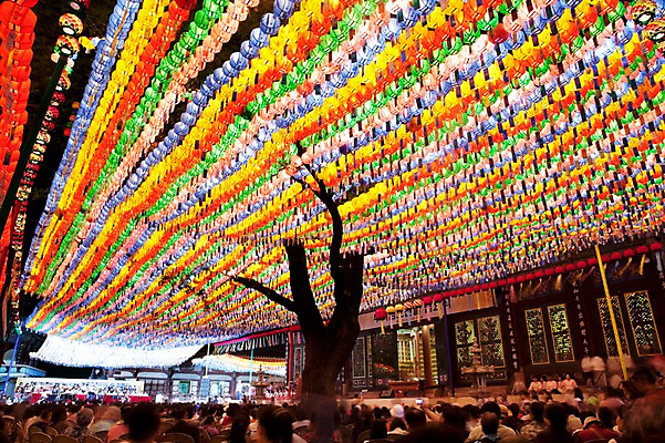 포토 JPG 종교 불교 사람 야외 부처님오신날 사찰 군중 연등 불자 조계사 국내포토 기념일 종교건축 등불 불교용품 종로 파일형식