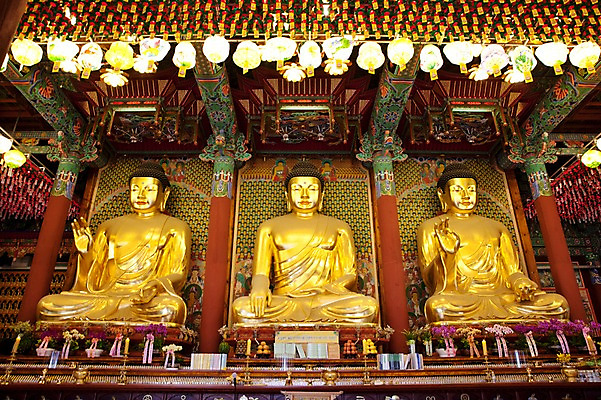 포토 JPG 종교 불교 실내 사람없음 부처님오신날 사찰 불상 부처 금불상 조계사 국내포토 기념일 종교건축 내부 종로 파일형식