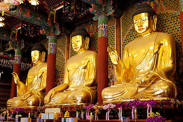 포토 JPG 종교 불교 실내 사람없음 부처님오신날 불상 부처 금불상 조계사 국내포토 기념일 내부 사찰 종로 파일형식