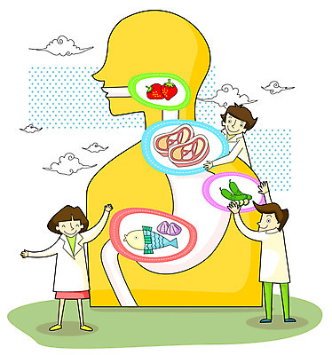 EPS 여자 남자 다이어트 채소 과일 일러스트 의학 건강 육류 어류 사람 치료 건강관리 의사 도움 소화기관 보호 질병 균형 질병관리 식단 내과 국내일러스트 컨셉 식재료 병원 관리 수중동물 의료진 장기_의학 파일형식 벡터