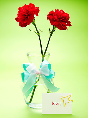 포토 JPG 스튜디오촬영 식물 기념일 꽃 리본 실내 사람없음 빨간색 꽃병 촬영 어버이날 두송이 카네이션 감사 국내포토 감정 컬러 2 이벤트 내부 파일형식