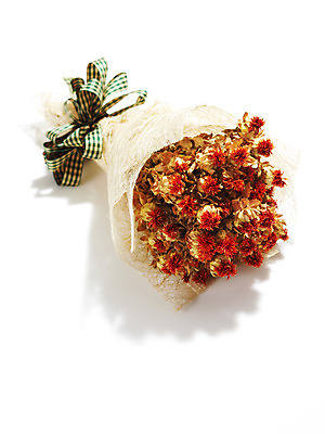 포토 JPG 스튜디오촬영 식물 꽃 꽃다발 실내 선물 사람없음 촬영 감사 국내포토 감정 내부 파일형식