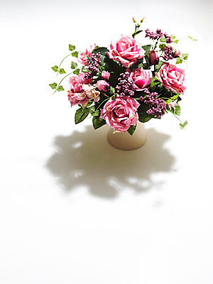 포토 JPG 스튜디오촬영 식물 꽃 분홍색 실내 사람없음 장미 촬영 감사 아이비 조화 국내포토 감정 컬러 내부 파일형식