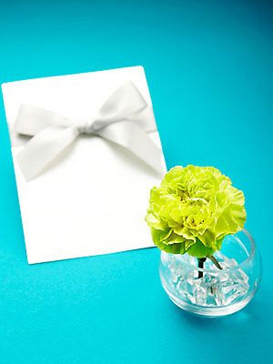 포토 JPG 스튜디오촬영 식물 기념일 꽃 리본 한송이 실내 사람없음 노란색 꽃병 촬영 어버이날 카네이션 감사 국내포토 카드프레임 1 감정 컬러 프레임 이벤트 내부 송이 파일형식