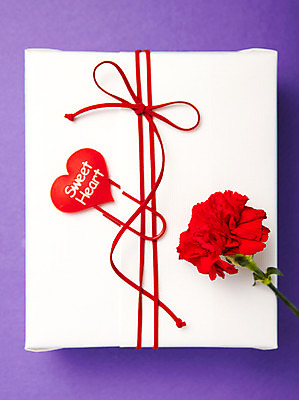 포토 JPG 스튜디오촬영 식물 기념일 꽃 리본 한송이 실내 선물 사람없음 빨간색 선물상자 촬영 하트 어버이날 카네이션 감사 국내포토 모양 1 감정 컬러 이벤트 내부 상자 송이 파일형식