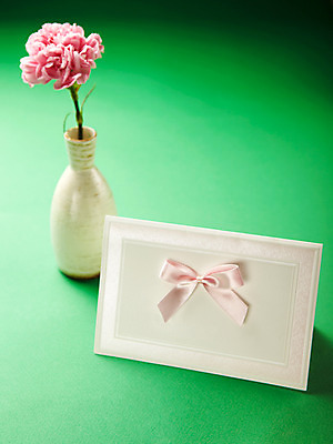 포토 JPG 스튜디오촬영 식물 기념일 꽃 분홍색 한송이 실내 사람없음 꽃병 촬영 어버이날 카네이션 감사 국내포토 카드프레임 1 감정 컬러 프레임 이벤트 내부 송이 파일형식