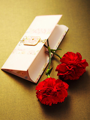 포토 JPG 스튜디오촬영 식물 기념일 꽃 봉투 실내 사람없음 빨간색 촬영 어버이날 두송이 카네이션 감사 국내포토 카드프레임 감정 컬러 2 프레임 이벤트 내부 파일형식