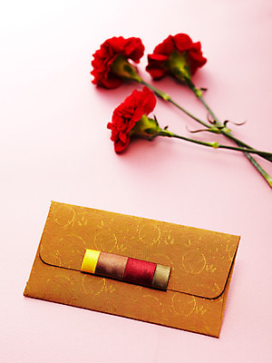 포토 JPG 스튜디오촬영 식물 기념일 꽃 봉투 실내 사람없음 빨간색 촬영 어버이날 카네이션 감사 세송이 국내포토 카드프레임 감정 컬러 프레임 3 이벤트 내부 파일형식