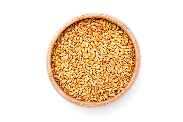 포토 JPG 스튜디오촬영 그릇 음식 재료 의학 곡류 실내 누끼 사람없음 치료 하이앵글 한의학 약재 한약재 한약 낟알 오브젝트 잡곡 낱알 국내포토 식기 뷰포인트 내부 약 파일형식