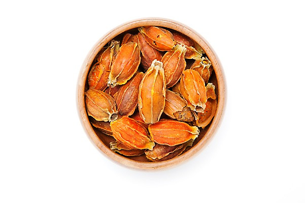 포토 JPG 스튜디오촬영 그릇 열매 재료 건조 실내 누끼 사람없음 치료 하이앵글 한의학 약재 한약재 약초 한약 오브젝트 치자 국내포토 식물 식기 뷰포인트 의학 내부 약 풀_식물 파일형식