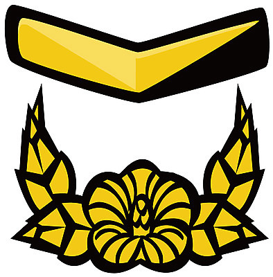 EPS 아이콘 군대 사람없음 군용 계급장 하사 2D아이콘 계급 파일형식 벡터 부사관