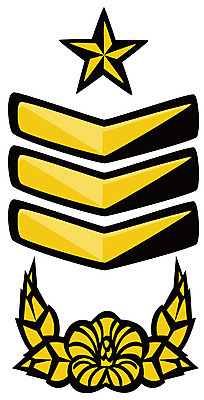 EPS 아이콘 군대 사람없음 군용 계급장 2D아이콘 파일형식 벡터