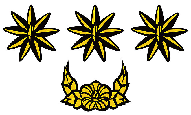 EPS 아이콘 군대 사람없음 군용 계급장 2D아이콘 파일형식 벡터