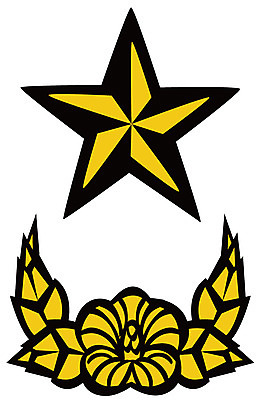 EPS 아이콘 군대 사람없음 군용 계급장 2D아이콘 파일형식 벡터