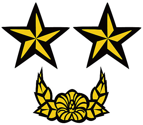 EPS 아이콘 군대 사람없음 군용 소장 계급장 2D아이콘 장기_의학 파일형식 벡터