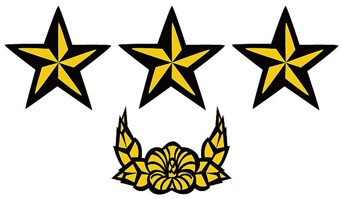 EPS 아이콘 군대 사람없음 군용 계급장 2D아이콘 파일형식 벡터