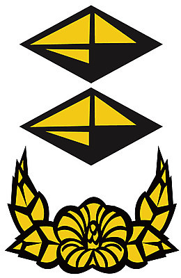 EPS 아이콘 군대 사람없음 군용 계급장 2D아이콘 파일형식 벡터