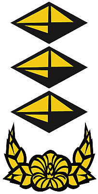 EPS 아이콘 군대 사람없음 군용 계급장 대위 2D아이콘 파일형식 벡터