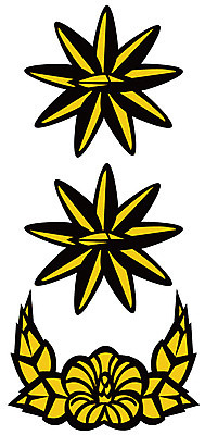 EPS 아이콘 군대 사람없음 군용 계급장 중령 2D아이콘 군인 파일형식 벡터