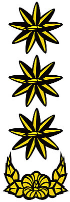 EPS 아이콘 군대 사람없음 군용 계급장 2D아이콘 파일형식 벡터