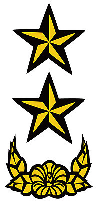 EPS 아이콘 군대 사람없음 군용 소장 계급장 2D아이콘 장기_의학 파일형식 벡터