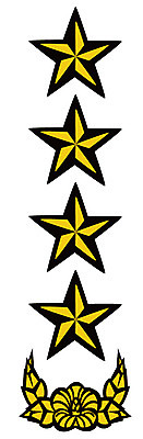 EPS 아이콘 군대 사람없음 군용 대장 계급장 2D아이콘 장기_의학 파일형식 벡터