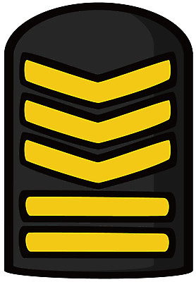 EPS 아이콘 군대 사람없음 군용 계급장 정교 2D아이콘 파일형식 벡터