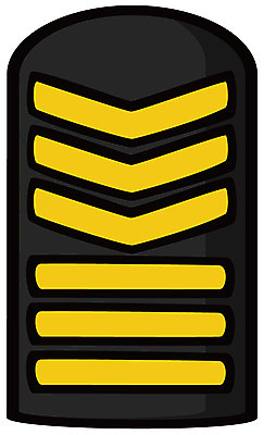 EPS 아이콘 군대 사람없음 군용 계급장 특무정교 2D아이콘 계급 파일형식 벡터