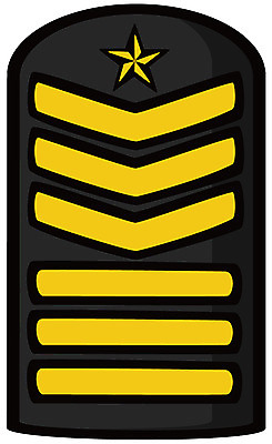 EPS 아이콘 군대 사람없음 군용 계급장 대특무정교 특무상사 2D아이콘 계급 파일형식 벡터