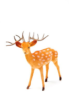 포토 JPG 스튜디오촬영 동물 계절 기념일 인형 크리스마스장식 크리스마스 겨울 크리스마스용품 사슴 실내 누끼 이벤트 사람없음 장식 한개 루돌프 오브젝트 국내포토 1 포유류 내부 용품 파일형식