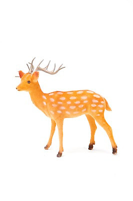 포토 JPG 스튜디오촬영 동물 계절 기념일 인형 크리스마스장식 크리스마스 겨울 크리스마스용품 사슴 실내 누끼 이벤트 사람없음 장식 한개 루돌프 오브젝트 국내포토 1 포유류 내부 용품 파일형식