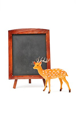 포토 JPG 스튜디오촬영 동물 계절 기념일 인형 크리스마스장식 크리스마스 겨울 크리스마스용품 사슴 알림판 실내 누끼 이벤트 사람없음 장식 칠판 루돌프 오브젝트 메모판 국내포토 포유류 내부 용품 파일형식