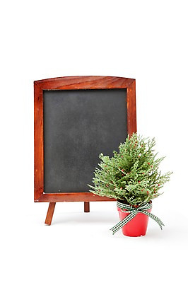 포토 JPG 스튜디오촬영 식물 계절 기념일 화분 크리스마스장식 크리스마스 겨울 크리스마스용품 알림판 실내 누끼 이벤트 사람없음 장식 칠판 오브젝트 메모판 편백나무 국내포토 나무 내부 용품 파일형식