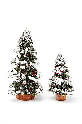 포토 JPG 스튜디오촬영 나무 계절 기념일 크리스마스장식 크리스마스 겨울 크리스마스용품 실내 누끼 이벤트 사람없음 장식 크리스마스트리 두개 눈 오브젝트 국내포토 자연요소 식물 2 날씨 내부 용품 파일형식