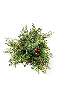 포토 JPG 스튜디오촬영 식물 계절 기념일 컬러 잎 크리스마스장식 크리스마스 겨울 크리스마스용품 실내 누끼 이벤트 사람없음 장식 초록색 하이앵글 오브젝트 침엽수 편백나무 국내포토 나무 뷰포인트 내부 용품 파일형식