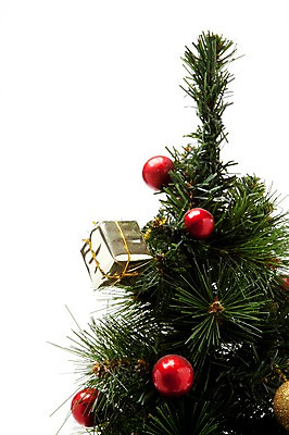 포토 JPG 스튜디오촬영 나무 식물 계절 기념일 크리스마스장식 크리스마스 겨울 크리스마스용품 실내 누끼 이벤트 사람없음 장식 크리스마스트리 장식볼 오브젝트 국내포토 내부 용품 파일형식