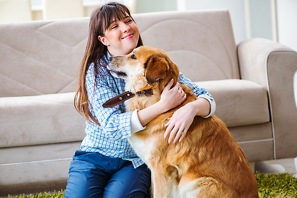 포토 JPG 해외이미지 동물 행복 장난 포유류 가족 포옹 놀이 주택 함께함 실내 사랑 미소 앉기 사람없음 반려동물 소파 우정 방 황금 개 리트리버 강아지 주인 송곳니 기르기 돌봄 동반자 유래 충실 해외202105 해외포토 감정 컨셉 의자 관계 안기 모션 표정 내부 건물 친구 치아 파일형식