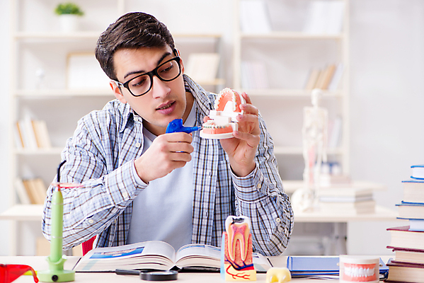 포토 JPG 해외이미지 남자 대학생 의학 실내 병원 한명 들기 상반신 성인 앞모습 치아모형 성인남자한명만 안경낌 해외202105 해외포토 1 학생 안경 뷰포인트 모션 사람 내부 치아 남자한명만 성인남자만 파일형식