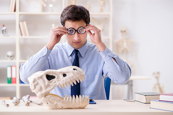 포토 JPG 해외이미지 동물 교육 과학 유적 파충류 뼈 골격 실험 사람없음 머리 교수 견과류 의사 역사 실험실 치아 연구원 모험가 과학자 분석 공룡 화석 고생물 멸종 선사시대 턱 발견 고고학 멍청이 옛날 해외202105 해외포토 직업 전통 컨셉 생물 신체부위 교사 의료진 소화기관 학자 파일형식