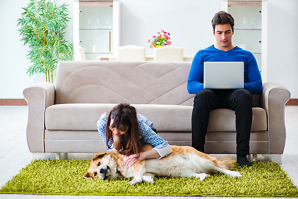 포토 JPG 해외이미지 동물 커플 행복 가족 놀이 남편 주택 털 미소 사람없음 노트북 반려동물 컴퓨터 우정 카펫 방 아내 작업 황금 개 리트리버 강아지 질병 청소 먼지 솜털 온라인 주인 몸단장 송곳니 기생충 알레르기 기르기 위생관리 프리랜서 해외202105 해외포토 직업 감정 포유류 의학 관계 표정 관리 건물 친구 전자제품 바이러스 치아 돌봄 파일형식